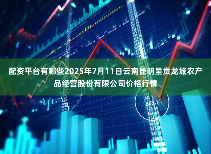 配资平台有哪些2025年7月11日云南昆明呈贡龙城农产品经营股份有限公司价格行情