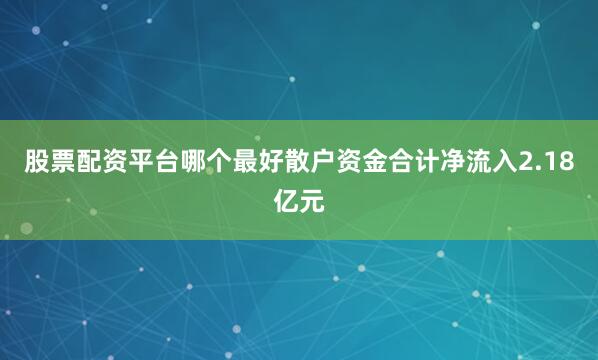 股票配资平台哪个最好散户资金合计净流入2.18亿元