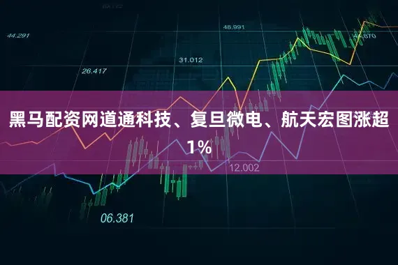 黑马配资网道通科技、复旦微电、航天宏图涨超1%