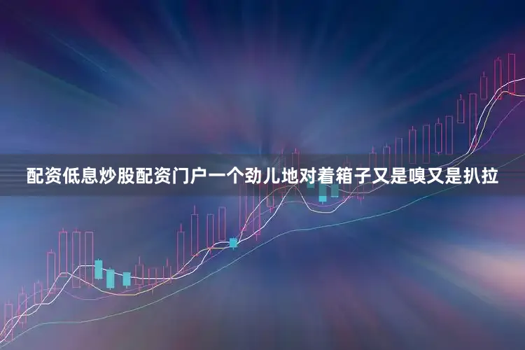 配资低息炒股配资门户一个劲儿地对着箱子又是嗅又是扒拉